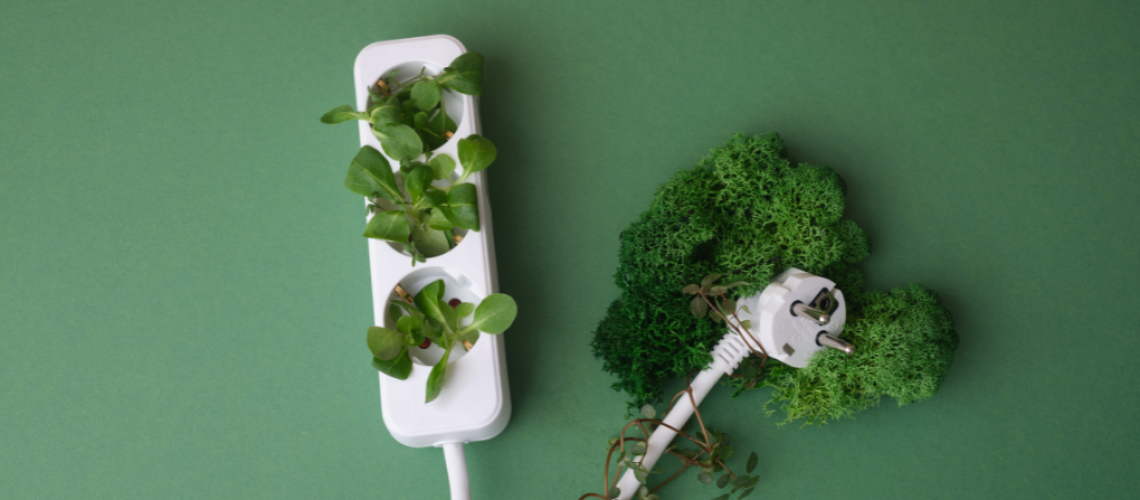 Build it Hermanus Substantial Energy Management